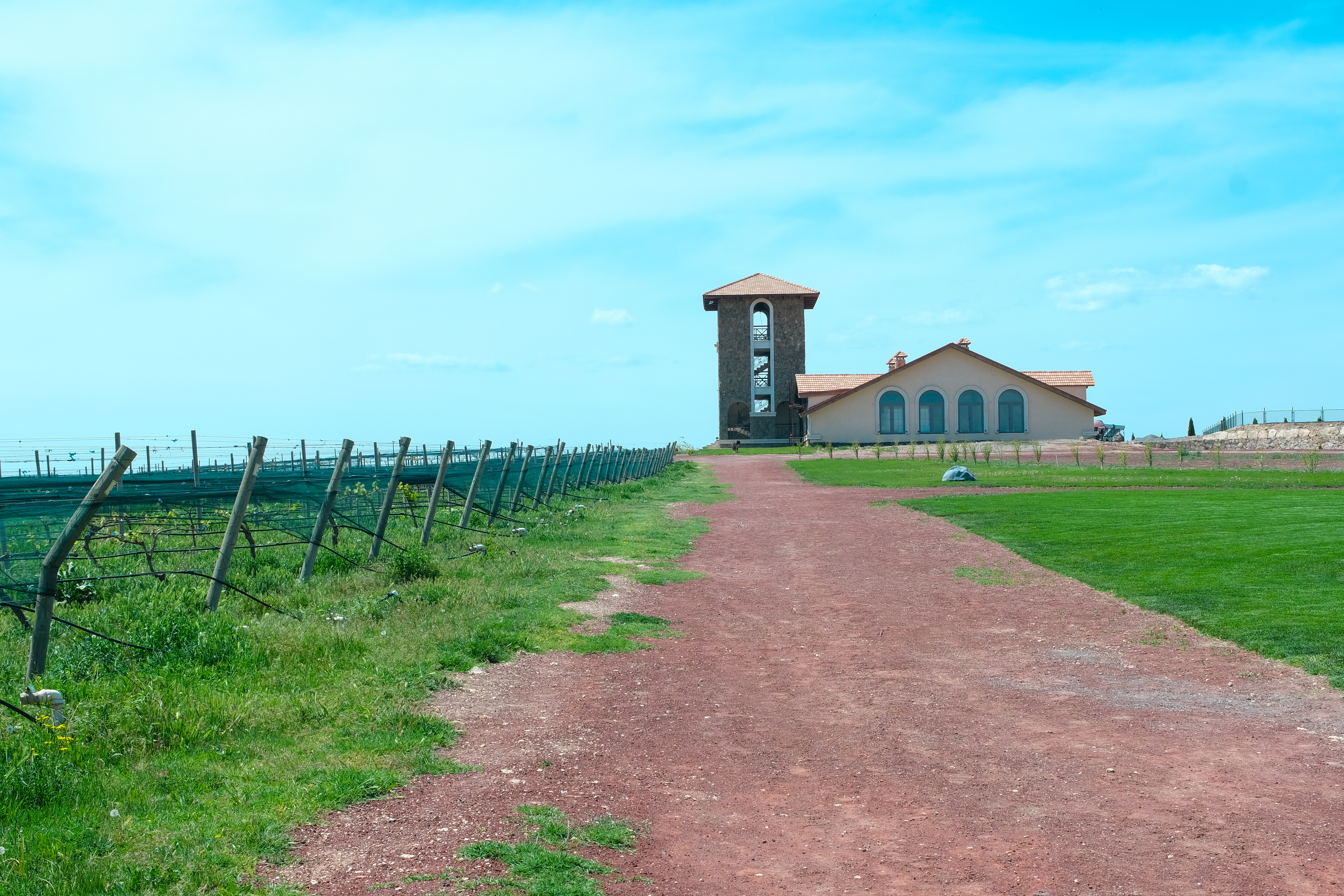 WINE AND CULINARY DELIGHTS}